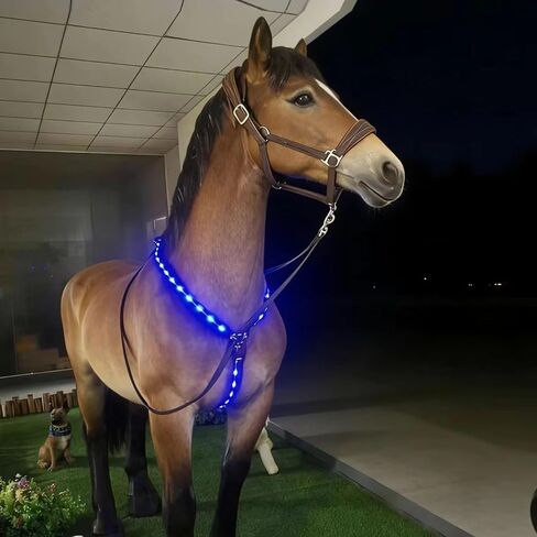 طوق صدر الحصان LED من A&K L'YDIA قابل لإعادة الشحن عبر USB، 3 أوضاع إضاءة قابلة للتعديل عاكسة للضوء وامضة مرنة ليلية لعرض الفروسية (7 ألوان LED) in Kuwait
