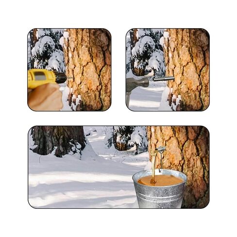 4PCS Stainless Steel Maple Syrup Tapping Taps Kit, Stainless Steel Maple Tubing Spouts with Holder Hooks for Collecting Sap and Making Maple Syrup in Kuwait