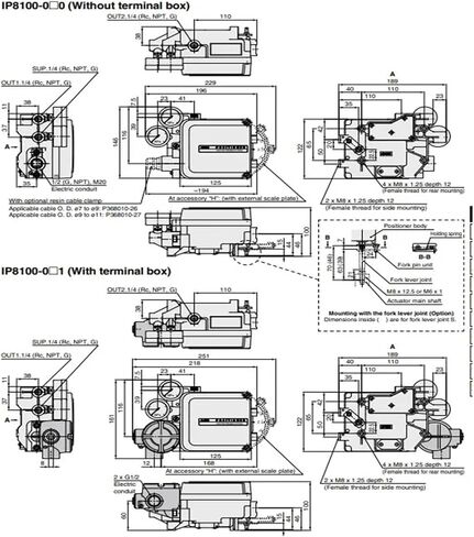 Positioner IP8000 IP8100 IP8000-030 IP8100-030 IP8000-031 IP8100-031 IP8100-030-H-X14 IP8100-031-J IP8000-021(IP8000-030-X14) in Kuwait