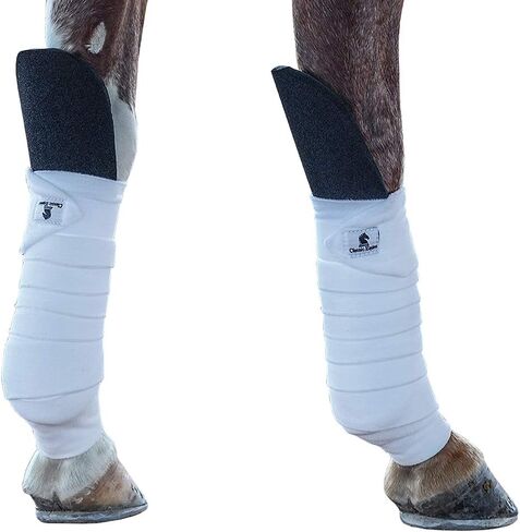 Classic Equine Knee Guard, Black in Kuwait