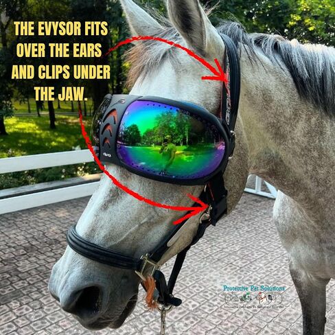 نظارات EQUICK eVysor للحماية من الأشعة فوق البنفسجية لركوب الخيل - عدسات خضراء عاكسة للأشعة فوق البنفسجية in Kuwait