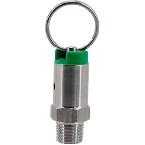 Keg Pressure Relief Valve 304 Stainless Steel Beer Lid Pressure Release Valve 1/4 Inch NPT Male Thread Compact Brew Accessory Suitable for Ke, 100 psi in Kuwait