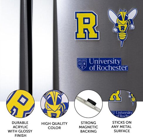 Desert Cactus University of Rochester Acrylic Magnet 3 Pack UR Yellowjackets Decorative Design Officially Licensed (Magnet Set A) in Kuwait