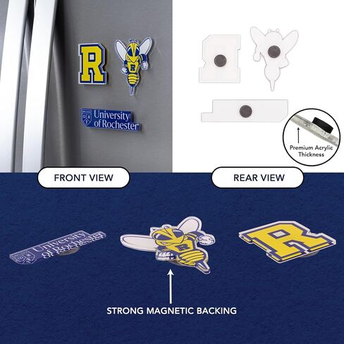 Desert Cactus University of Rochester Acrylic Magnet 3 Pack UR Yellowjackets Decorative Design Officially Licensed (Magnet Set A) in Kuwait