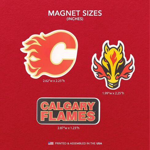 مغناطيس أكريليك صبار الصحراء كالغاري فليمز، 3 عبوات، تصميم زخرفي لدوري الهوكي الوطني NHL مرخص رسميًا (مجموعة مغناطيس أكريليك A) in Kuwait