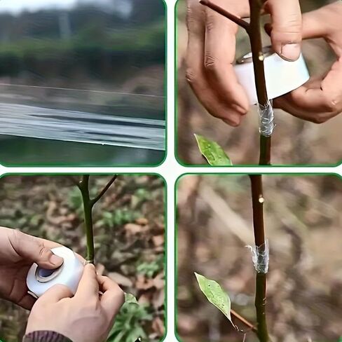 1 Roll Fruit Tree Grafting Tape, 705.38FT Stretchable Self-Adhesive Plant Wrap Film for Budding, Grafting, Plant Protection, Nursery Garden Repair Tape in Kuwait