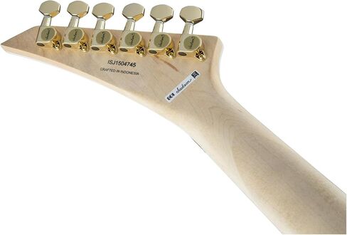 Jackson RR3 Pro Series Rhoads - Ivory with Black Pinstripes in Kuwait