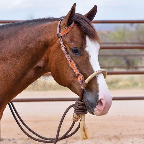 Schneiders Double S One Ear Bosal Set | Complete One Ear Bosal Set, Adjustable Size, Comfortable for Sensitive Noses, Basketweave Tooled Design, Soft Poly Mecate | in Kuwait