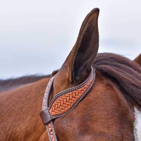 Schneiders Double S One Ear Bosal Set | Complete One Ear Bosal Set, Adjustable Size, Comfortable for Sensitive Noses, Basketweave Tooled Design, Soft Poly Mecate | in Kuwait