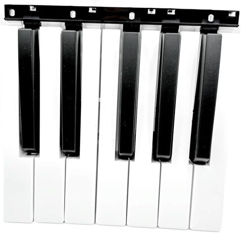استبدال البيانو الرقمي مفتاح أبيض وأسود لـ Ko-rg PA500 PA300 PA600 PA700 X50 (12 مفتاح أسود أبيض) in Kuwait