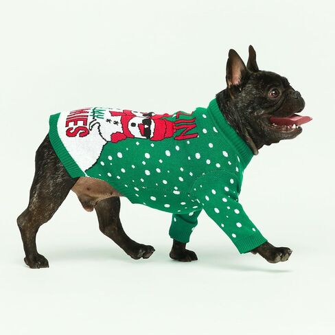 Fitwarm Pumpkin Dog Sweater, Thanksgiving Outfit for Small Dogs Boy Girl, Pet Outfit, Orange, Beige, Medium in Saudi Arabia