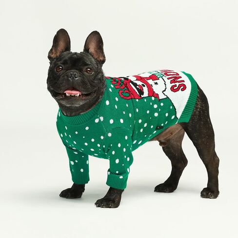 Fitwarm Pumpkin Dog Sweater, Thanksgiving Outfit for Small Dogs Boy Girl, Pet Outfit, Orange, Beige, Medium in Saudi Arabia