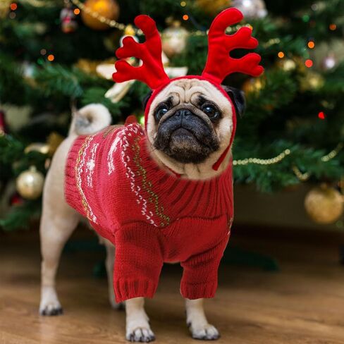 Ugly Christmas Dog Sweater Reindeer Xmas Dog Outfits Pet Dog Holiday Costumes Red Puppy Cat Winter Knitwear Clothes Turtleneck Warm Jumper Clothes for Small Medium Large Dogs(Red,M) in Kuwait