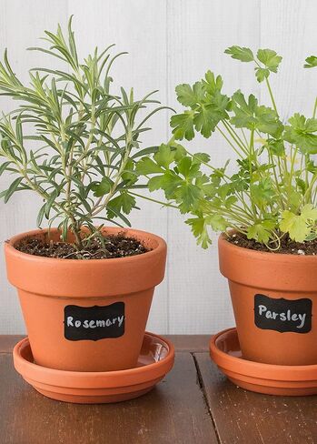 ملصقات السبورة - ملصقات الطباشير من Cestari Kitchen - مجموعة مكونة من 52 ملصقًا متنوعًا ممتازًا وقابل لإعادة الاستخدام من ملصقات السبورة السوداء المزخرفة لتنظيم أنيق وديكورات الزفاف والمشروعات اليدوية in Kuwait