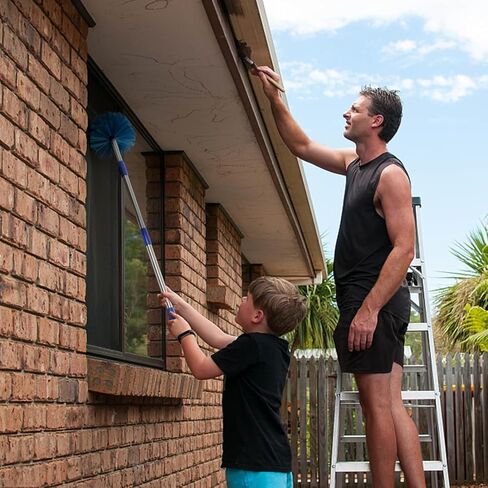 Cobweb Duster with Pole, Stainless Steel Pole Cobweb Brush with Medium - 4ft Stiff Bristles for Walls Beams Shelves Iight Fixtures and Window Screens in Kuwait