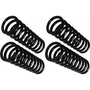 Front Coil Spring for Mercury Zephyr 1978 1979 1980 1981 2.3L l4, for Ford Mustang 1979-1989 1991 1992 1993 2.3L l4 Direct Fit OE Replacement, 2 Pack in Kuwait