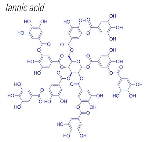 Tannic Acid, Ultra Pure, Powder, 99% min., 100 Grams in Kuwait