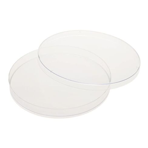 CELLTREAT 229656 150 mm x 15 mm Petri Dish, Sterile, 14.9 cm L, 1.6 cm H, 14.9 cm W, 25 mL, Polystyrene (Pack of 100) in Kuwait