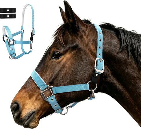 Hilltown Breakaway Halters for Horses with Leather Fuse | Adjustable Fit, Soft Rubber Padding, Quick Release Snap, and Easy Clean Webbing for Training and Stable Use in Kuwait