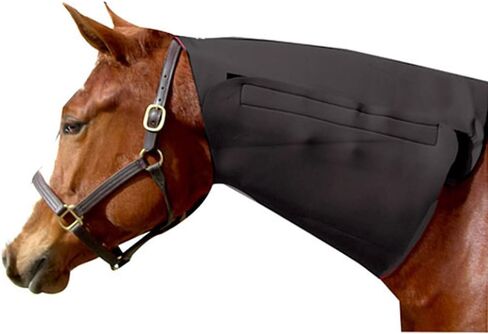 Intrepid International Neoprene Neck Horse Sweat for Horses, Black, Horse Size in Kuwait