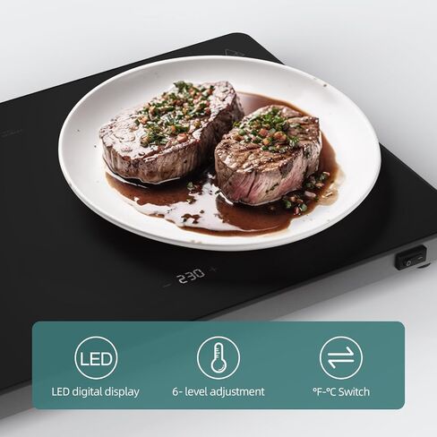 Plate Warmer for Slow Eaters, 13.8" x 10" Electric Warming Tray, 6 Temperature Settings 140-230°F with Memory Function, Glass Top for Dinner Plates in Kuwait