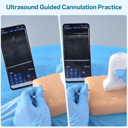 Ultrasound-Guided Venous Access Training Model, Realistic Silicone IV Injection & Venipuncture Practice Pad with Multi-Depth Veins, Visible Needle Tracking for Nursing & Medical Training in Kuwait