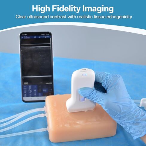Ultrasound-Guided Venous Access Training Model, Realistic Silicone IV Injection & Venipuncture Practice Pad with Multi-Depth Veins, Visible Needle Tracking for Nursing & Medical Training in Kuwait
