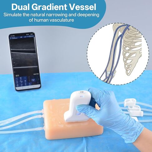 Ultrasound-Guided Venous Access Training Model, Realistic Silicone IV Injection & Venipuncture Practice Pad with Multi-Depth Veins, Visible Needle Tracking for Nursing & Medical Training in Kuwait
