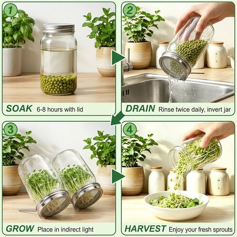 Sprouting Lids for Jars, 2 Pack Sprouting Jar Kit for Wide Mouth Jars, Stainless Steel Reusable One-Piece Sprout Lids, Sprouting Jar Lids for Organic Alfalfa Broccoli Seeds Mung Bean Plant Germination in Kuwait