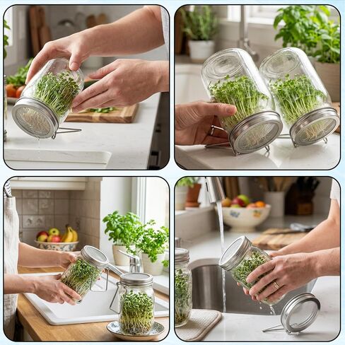 Sprouting Lids for Jars, 2 Pack Sprouting Jar Kit for Wide Mouth Jars, Stainless Steel Reusable One-Piece Sprout Lids, Sprouting Jar Lids for Organic Alfalfa Broccoli Seeds Mung Bean Plant Germination in Kuwait