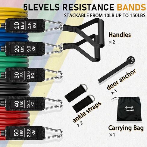 Resistance Bands with Handles, Workout Bands, Exercise Resistance Bands Set for Men & Women, Fitness Bands for Resistance Training, Physical Therapy, Home Workout Set in Saudi Arabia