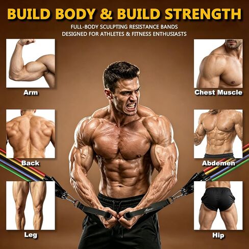 Resistance Bands with Handles, Workout Bands, Exercise Resistance Bands Set for Men & Women, Fitness Bands for Resistance Training, Physical Therapy, Home Workout Set in Saudi Arabia