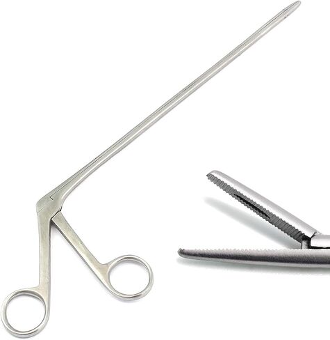Alligator Ear Serrated Forceps 10 INCHES ENT Instruments Tools Stainless Steel 10" Alliagator Forceps Clamp in Kuwait