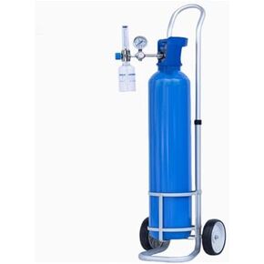 Aluminum Cylinder Rack - Rolling Dolly with Casters for 4.9" Diameter Gas Cylinders - Portable & Durable Storage Solution for Hospitals, Workshops & Labs) in Kuwait