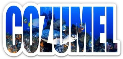 Squiddy Cozumel Mexico - ملصق فينيل للسيارة والكمبيوتر المحمول والكمبيوتر المحمول (بعرض 5.5 بوصة) in Kuwait