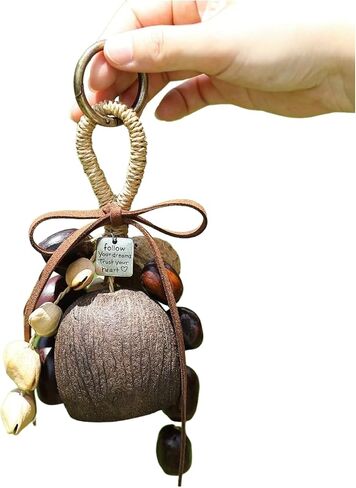 Natural Handcrafted Wind Chime, 10-Piece Mixed Fruit Shell Hanging Ornament with Leather Cord, Wooden Ring, Metal Tag, DIY Decorative Garden Mobile in Kuwait