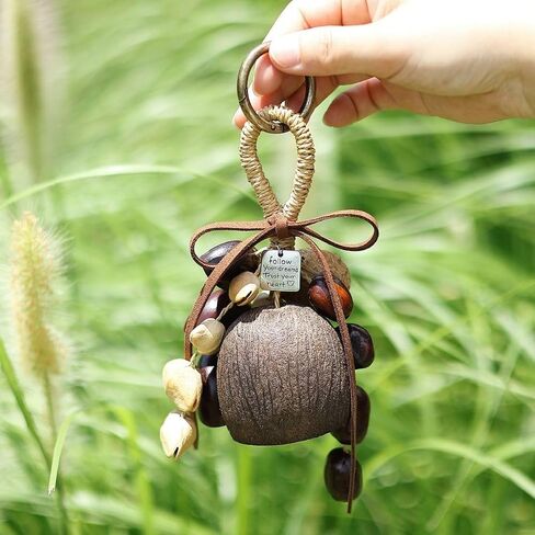 Natural Handcrafted Wind Chime, 10-Piece Mixed Fruit Shell Hanging Ornament with Leather Cord, Wooden Ring, Metal Tag, DIY Decorative Garden Mobile in Kuwait