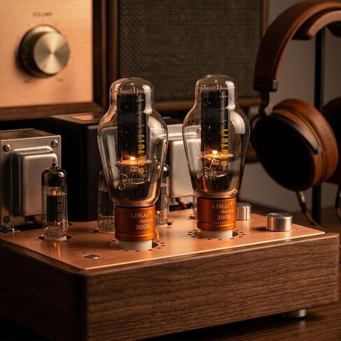 Aurora Series 300B Vacuum Tube Matched Pair (2 Pack) in Kuwait