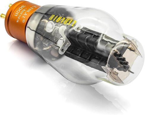 Aurora Series 300B Vacuum Tube Matched Pair (2 Pack) in Kuwait