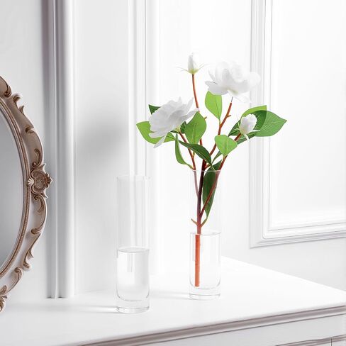 Clear Glass Cylinder Bud Vases,Small Clear Skinny Single Flower Vase for Centerpieces - Minimalist Bulk Vases for Wedding Birthday Bridal Shower Party Events Table Decor (2) in Saudi Arabia