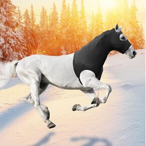 Hilltown Long Horse Slinky Hood with Zipper | UV Block, Mane Protection, Stretch Fabric, Show Prep, Sweat-Wicking and Quick-Dry for Riding, Training & Daily Use in Kuwait