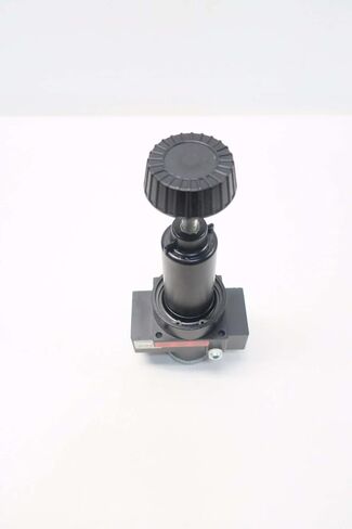 NEW WILKERSON R30-08-000 0-125PSI 300PSI 1 IN NPT PNEUMATIC REGULATOR D534819 in Kuwait