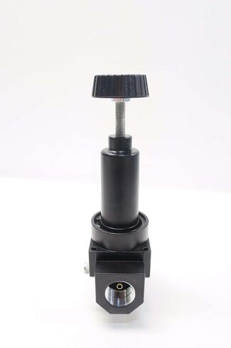 NEW WILKERSON R30-08-000 0-125PSI 300PSI 1 IN NPT PNEUMATIC REGULATOR D534819 in Kuwait