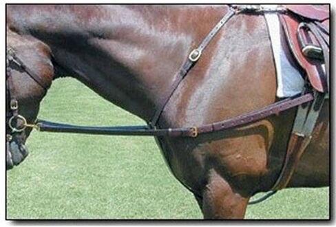Nunn Finer All Leather Side Reins in Kuwait