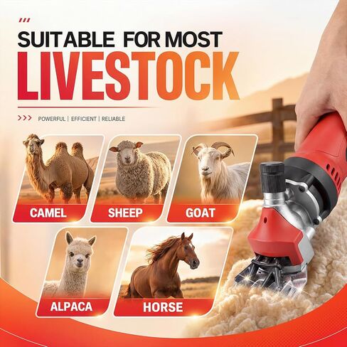 GIRAVO Electric Sheep Shears 900W, 6 Speed Adjustable Heavy Duty Sheep and Horse Clippers, Farm Livestock Grooming Kit, Livestock Clippers for Horse, Cattle, Goat and Thick Coat Animals (Red) in Saudi Arabia
