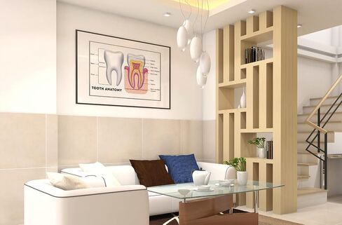 ملصق الأسنان تشريح الأسنان ديكور مكتب الأسنان للتعليم ملصق فني جداري رائع مطبوع 18x12 in Kuwait