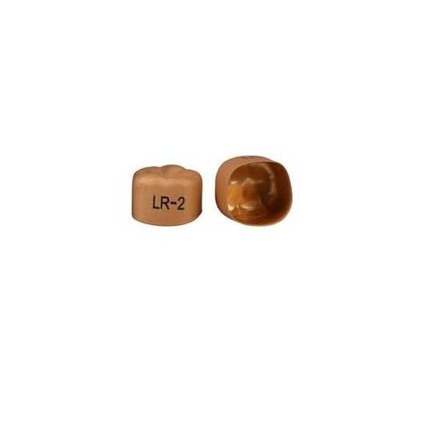 3M Solventum 940342 Unitek Crowns Gold Anodized 1st Molar #2 Lower Right 5/Bx in Saudi Arabia