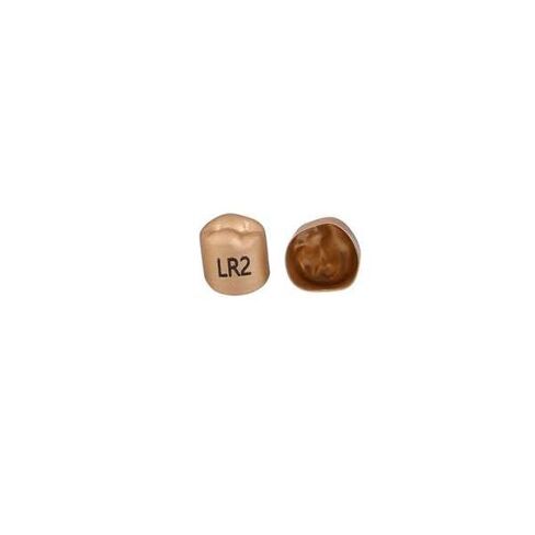 3M Solventum 940642 Unitek Crowns Gold Anodized 2nd Bicuspid #2 Lower Right 5/Bx in Kuwait