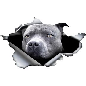 ملصقات سيارة بيتبول للكلاب - ملصق فينيل مقاوم للماء، مجموعة متينة مكونة من قطعتين للسيارات والشاحنات وسيارات الدفع الرباعي والدراجات النارية وأجهزة الكمبيوتر المحمولة والنوافذ والجدران F051 in Kuwait