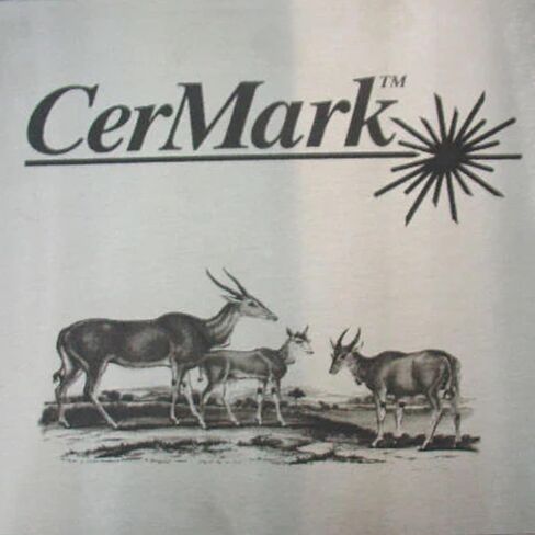 CerMark LMM-6000 Black Laser Marking Coating Paste for Stainless Steel and Metals – Use with CO2 & Fiber Lasers – Permanent, High-Contrast Marks – Ideal for Industrial & DIY Use (250g) in Kuwait
